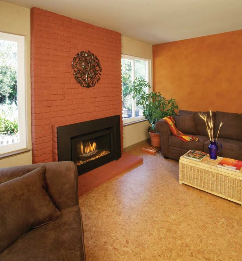 "Now I can breathe deeply, relax and feel cozily earthy in my living room," Carol says.